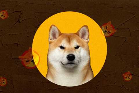 Can SHIB Army Bring Back Shiba Inu’s Value in 2022? We Explore