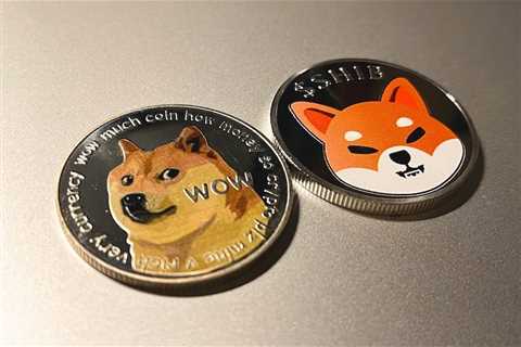 Shiba Inu, Dogecoin and other cryptos to avoid