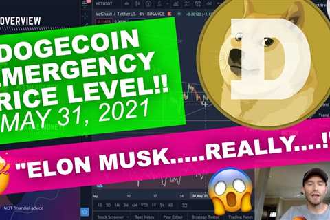 DOGECOIN - "Elon Musk Doge, HOT TUB!!?" Emergency Price Level! - DogeCoin Market News Now