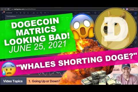 DOGECOIN - "METRICS LOOK BAD!!" WHALES SHORTING DOGECOIN!? - DogeCoin Market News Now