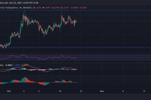 Dogecoin, Bitcoin Cash, Ethereum Classic Price Analysis: 23 October