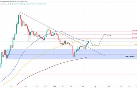 Shiba, Dogecoin and Crypto– American Wrap 7 February [Video] - Shiba Inu Market News