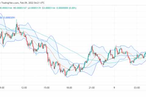 SHIB/USD bullish for the next 24 hours - Shiba Inu Market News