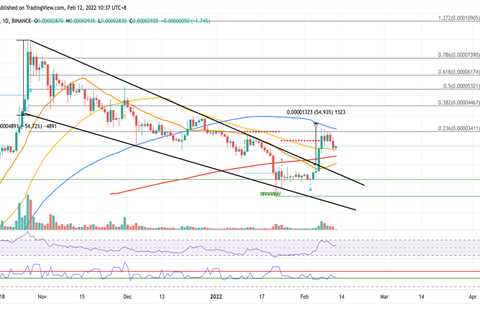 SHIB to test support at $0.00002435 before next rally - Shiba Inu Market News