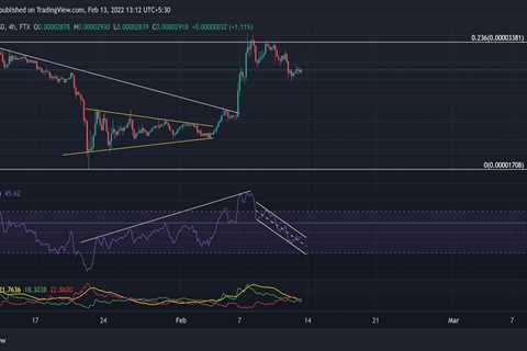 Shiba Inu, Binance Coin, Avalanche Price Analysis: 13 February - Shiba Inu Market News