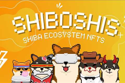 Shiboshi: Everything You Need to Know About Shiba Inu Non-Fungible Token - Shiba Inu Market News