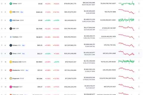 DOGE Replaces Polkadot as 12th Largest Cryptocurrency, Resurfaces Among Top Whale Holdings