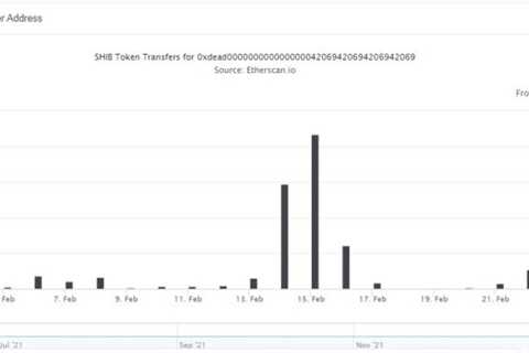 A Massive 1.6 Billion Shiba Inu (SHIB) Burnt in February - Shiba Inu Market News