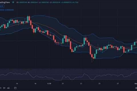 Shiba Inu price analysis: SHIB attains massive bullish momentum at $0.00002618 - Shiba Inu Market..