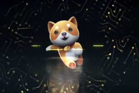 BabyDoge Leads From Front In Coin Burns, Baby Doge Coin To Burn 4 Quadrillion Tokens Today – The..