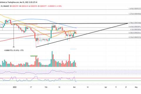 Shiba Inu price to kickstart 37% climb but SHIB will face multiple challenges - Shiba Inu Market..