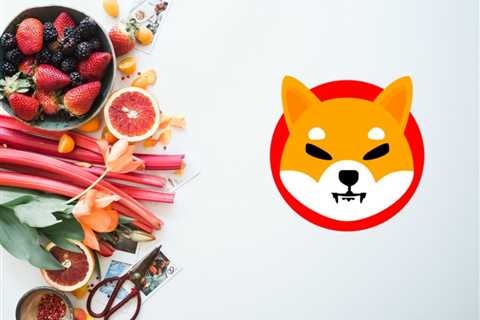 Shiba Inu goes healthy with this Spain-based nutrition firm