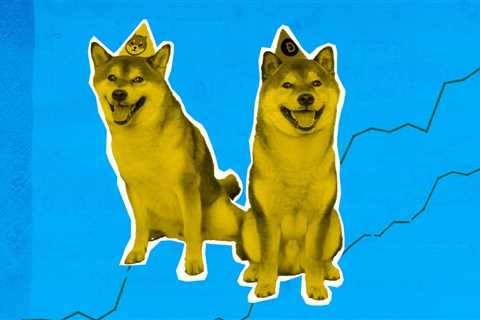 Meme Coins: What’s Happening? — DailyCoin - Shiba Inu Market News