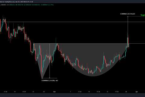 Shiba Inu [SHIB] – The case in favour of a 24% upswing - Shiba Inu Market News