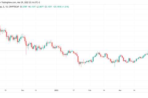 Small Cap Altcoins Beat Bitcoin And Other Crypto Assets 10 To 1, But Why?