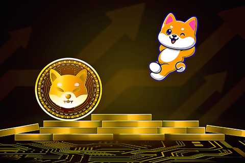 Shiba Inu Metaverse is Out, Dogecoin Creator Reacts Negatively