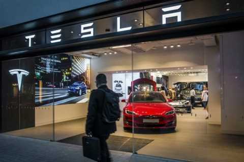 Top Tesla Stock Shareholder Plans to Hold Until at Least 2030. Here’s Why He’s Wrong - Shiba Inu..