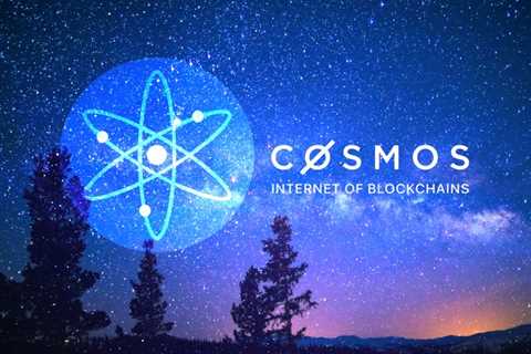 Should You Buy Cosmos ATOM?