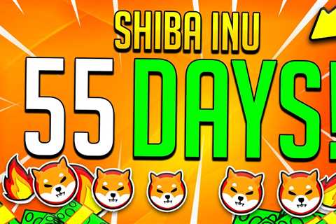 SHIBA INU COIN EVERYTHING CHANGES IN 55 DAYS!!! – SHIB Burn - Shiba Inu Market News