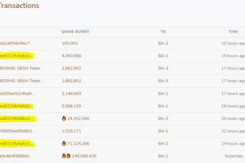 Over 258 Million Shiba Inu Tokens Burnt Within 24 Hours: Details - Shiba Inu Market News