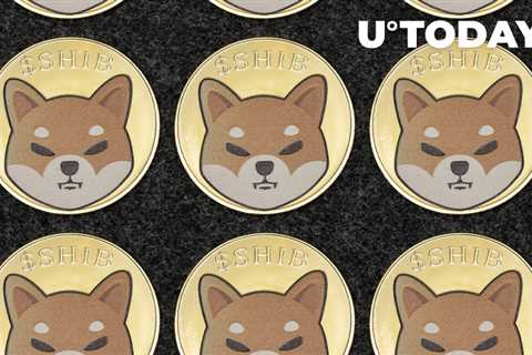 223 Billion SHIB Grabbed by Top Whale as Shiba Inu Returns as Most-Purchased Asset - Shiba Inu..