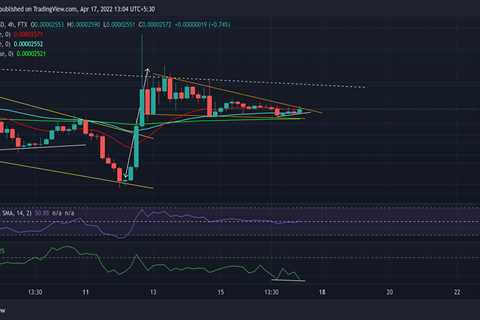 Shiba Inu, Ethereum Classic, ApeCoin Price Analysis: 17 April - Shiba Inu Market News