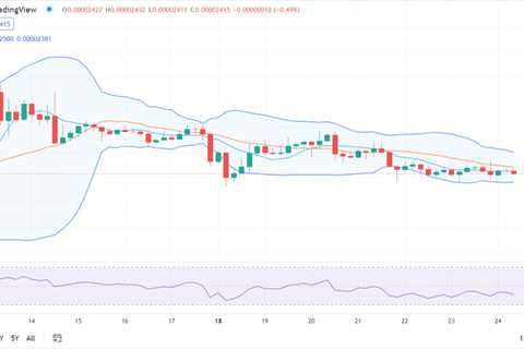 Shiba Inu price analysis: SHIB loses value at $0.00002412 - Shiba Inu Market News