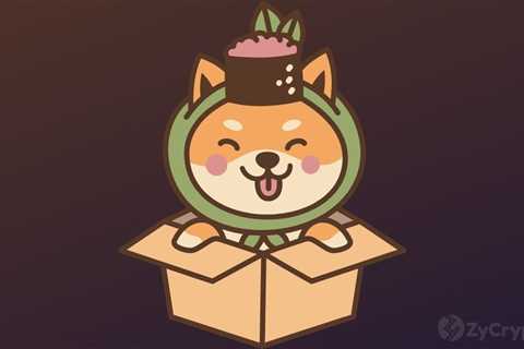 Shiba Inu Burn Portal Renews Bullish Momentum For '$0.001 SHIB' As Over 16B Tokens Burned ⋆..