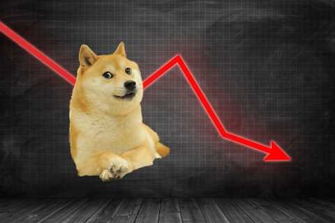 Dogecoin’s Elon Musk-Twitter pump has fizzled out; We are not surprised