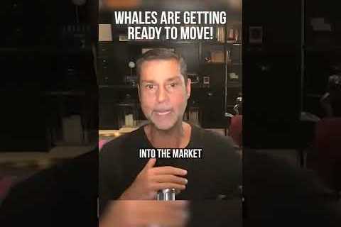 Whales Are MOVING!