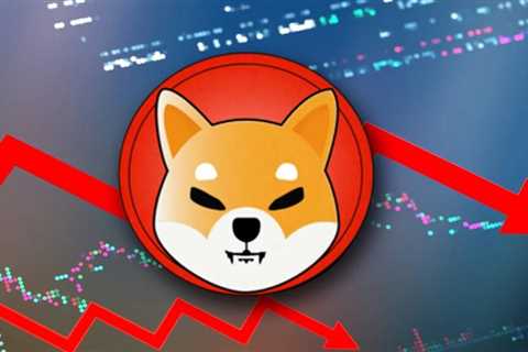 SHIB rallies by 31% but danger remains