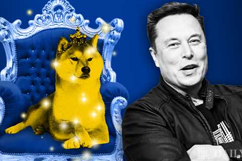 Dogecoin Shines as Elon Musk Shows Support — DailyCoin