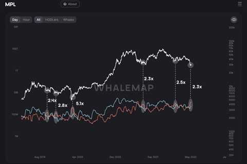 Bitcoin must defend these price levels to avoid ‘much deeper’ fall: Analysis