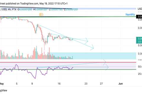 Shiba Inu price displays bullish exhaustion as bears aim for $0.00000800 - Shiba Inu Market News