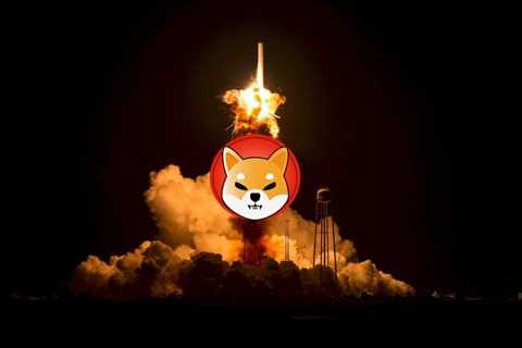 10 Billion SHIB Burned in an Hour, No Price Action?