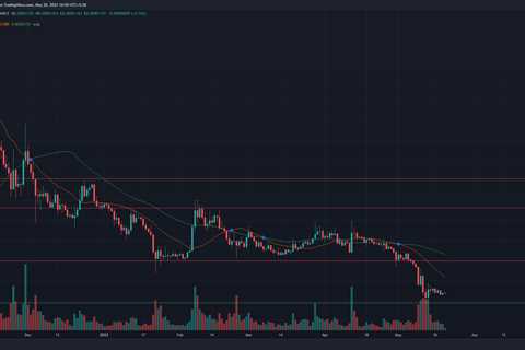 How much longer can Shiba Inu [SHIB] hold on to its 8-month support level - Shiba Inu Market News