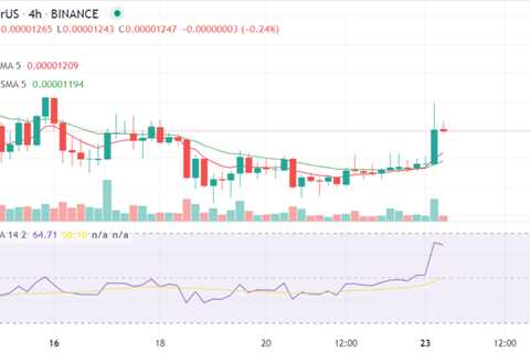 SHIB Price Reaches A Key Resistance Level Following A 6% Pump - Shiba Inu Market News