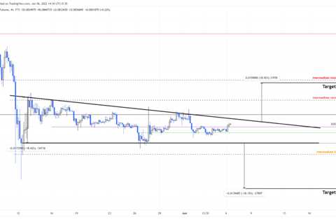 How growing DOGE holders could impact Dogecoin price