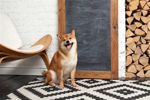 Shiba Inu Could Have Turned Your $3 Into $1 Million in 2021. Can It Do It Again? - Shiba Inu Market ..