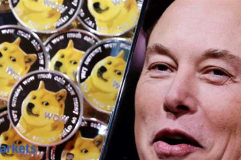 elon musk: Elon Musk rebuffs his suggestion to invest in Dogecoin