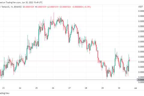 SHIB Surges 3% in Last 24 Hours, Least Affected Token in Top 100: CoinMarketCap - Shiba Inu Market..