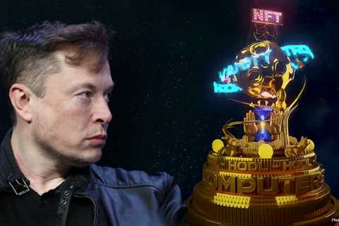 Does Tesla CEO Elon Musk Own Any NFTs?