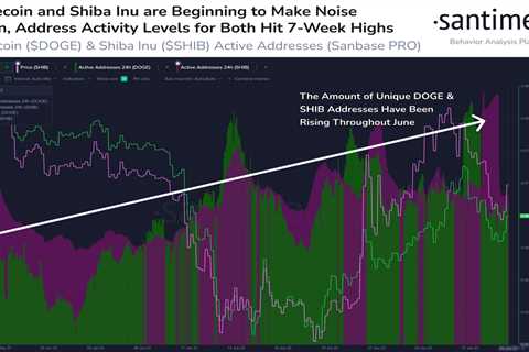 Three factors behind Shiba Inu price that can trigger an important movement - Shiba Inu Market News