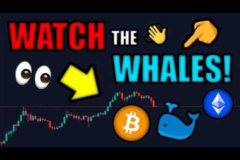 WHALES (QUIETLY) BUYING BITCOIN! 🐳 ETHEREUM to EXPLODE After MERGE in SEPTEMBER!