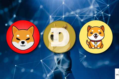 Dogecoin Still The Top Memecoin As BabyDoge 41x While Shiba Inu 1.4x Smaller Than Doge – The Crypto ..