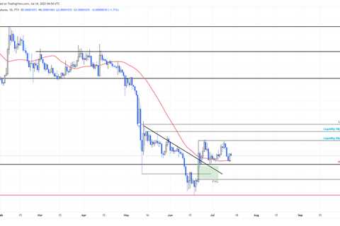 Two reasons why Shiba Inu’s SHIB price could crash lower - Shiba Inu Market News