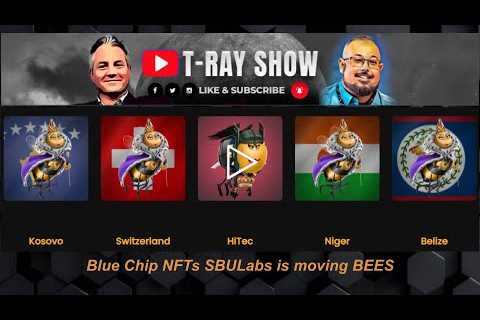 4 PRINCESS BEES NFT Auction | SBU Labs Crypto News