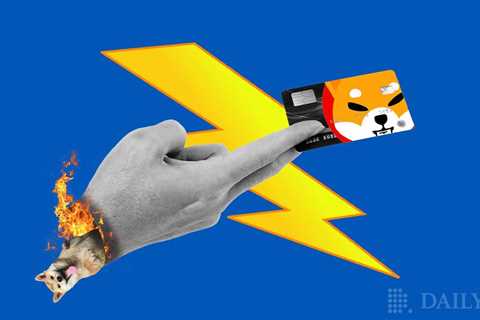 Shiba Inu Reveals SB Visa Card - SHIB Burn Rate Spikes 235% - Shiba Inu Market News