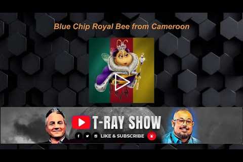 Royal Bee of Cameroon | SBU Auction | Crypto News