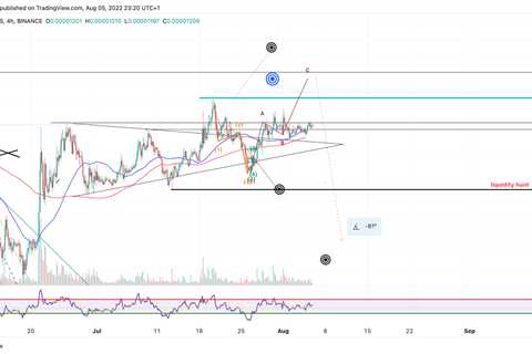 Why all eyes are on the Shiba Inu price this weekend pt.2 - Shiba Inu Market News